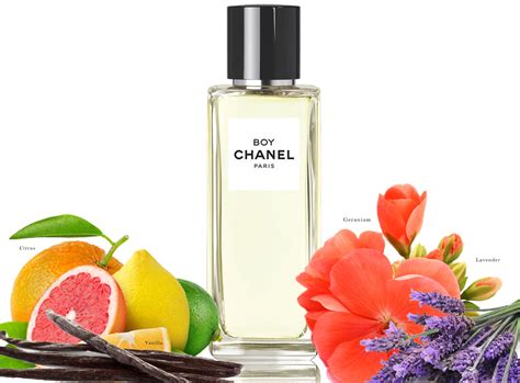 boy chanel perfume reviews